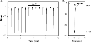 7-Chlorokynurenic acid
