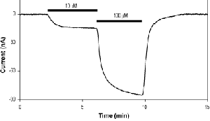 CGS 20625