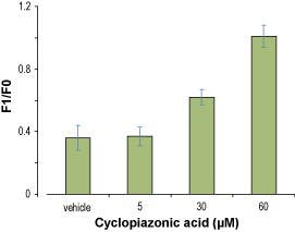 Cyclopiazonic Acid