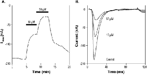 Na<sub>V</sub>1.7-Compound 36