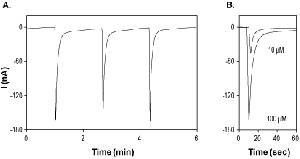 1,1-Dimethyl-4-phenylpiperazinium iodide