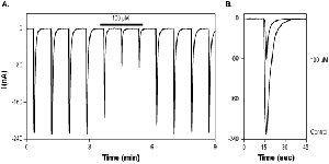 DL-AP5