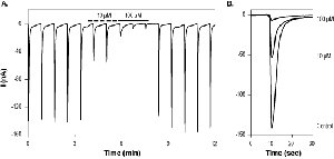 D-AP5