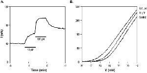 2,5-dimethylcelecoxib
