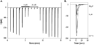 5,7-Dichlorokynurenic acid monohydrate