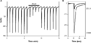 DL-AP7