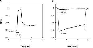 FTX-3.3