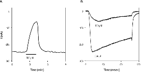 sFTX-3.3