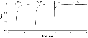 γ-Aminobutyric acid