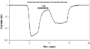 Gabazine