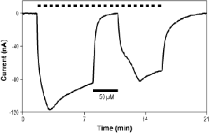 GYKI 53655 hydrochloride