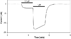 Isoguvacine hydrochloride
