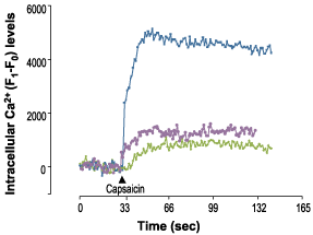 5'-Iodoresiniferatoxin