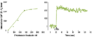 6'-Iodoresiniferatoxin