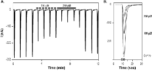 Kynurenic acid