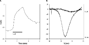 L-Ascorbic acid