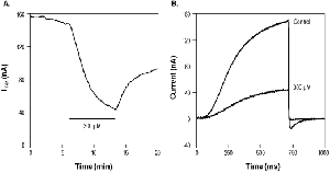 Linopirdine