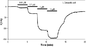 L-Quisqualic acid