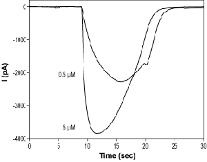 2-Methyl-5-hydroxytryptamine hydrochloride