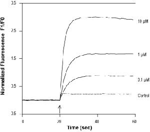 Nonivamide