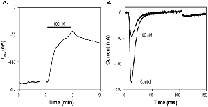 N-Me-aminopyrimidinone 9