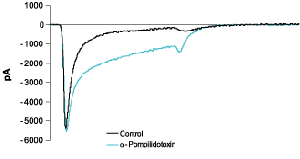 α-Pompilidotoxin