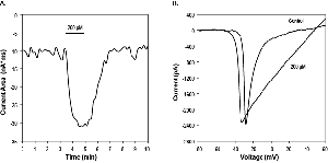 1Kα-Pompilidotoxin
