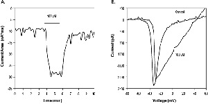 3R-Pompilidotoxin