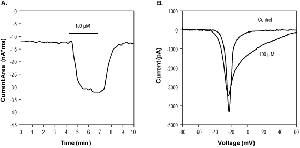 3R12Rα-Pompilidotoxin