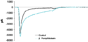 β-Pompilidotoxin