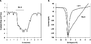 1Kβ-Pompilidotoxin