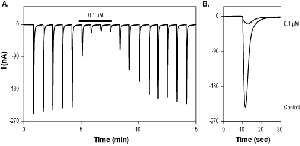 PEAQX tetrasodium hydrate
