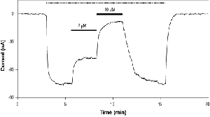 PD-161989 2-hydroxyethanesulfonate