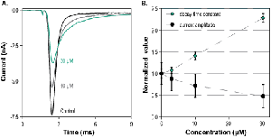 Na<sub>V</sub>1.1-Compound 3a