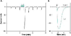 PNU-120596