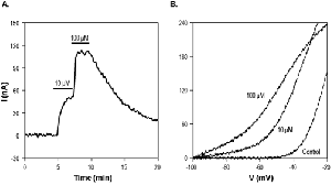 Retigabine dihydrochloride