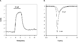 Ralfinamide mesylate