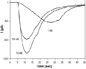 RS 56812 hydrochloride
