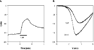 SR 33805 oxalate