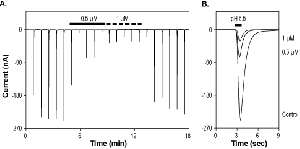 APETx2