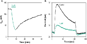 AmmTx3 Toxin