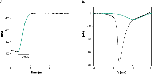 Ceratotoxin-2