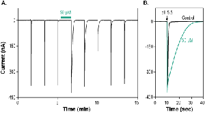 Cono RPRF-amide