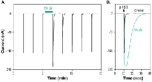 Cono VGRPRF-amide