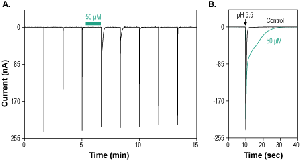 Cono AIVGRPRF-amide