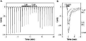 α-Conotoxin MrIC