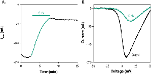 ω-Conotoxin CVIB