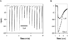 α-Conotoxin LtIA