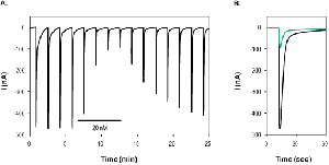 αC-Conotoxin PrXA