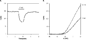 κ-Conotoxin RIIIK